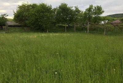 Teren de 30000 mp, în Crăcăoani - 1