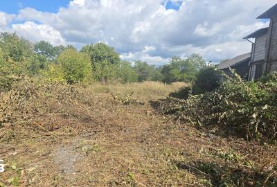 Vanzare teren intravilan in Teis, Dambovita Vanzare teren intravilan in Teis, Dambovita - 3