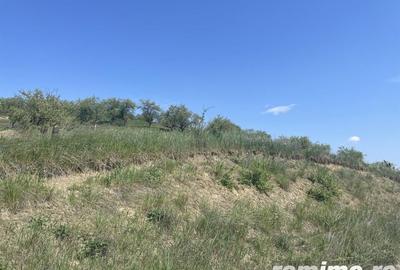 Teren de 23000 mp, în Dej - 3