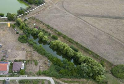 Teren de 7900 mp cu balta de pescuit in Frumu?eni - 5