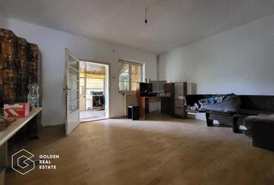 Casa cu D+P+E, 3500 mp teren, zona centrala, Paulis - 7