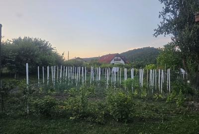 Casă cu 4 camere în Exterior Vest - 6