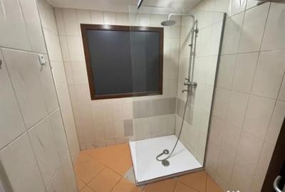 Apartament cu 5 camere decomandat în Domenii - 11