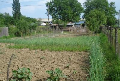 AZURA Imobiliare - Teren Auchan Gavana si Casa Bonus - 5