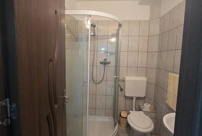 Apartament cu trei camere si beci zona Octavian Paler - 8
