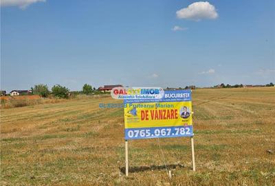 Teren Construcții intravilan de 24995 mp, în Clinceni - 10