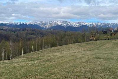 Teren de 4584 mp, în Moieciu