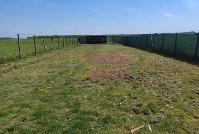 Teren cu constructie de vanzare in Urleta - 2