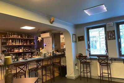 Cafenea cu terasa la Parcul Carol - 1