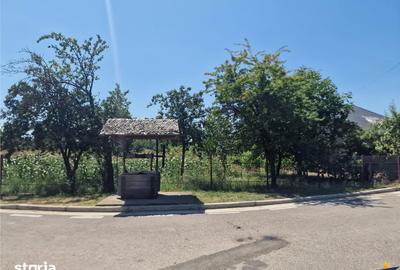 Casă cu 3 camere cu Teren 2000 Mp în Izvoarele - 9