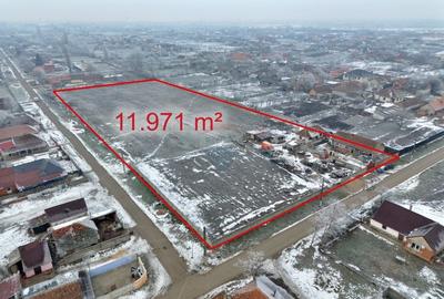 Teren intravilan de vânzare 11.971 mp, Șimand, jud. Arad - 1