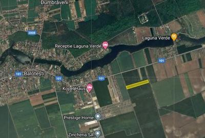 Teren agricol extravilan de 12850 mp, în Moara Vlăsiei - 3