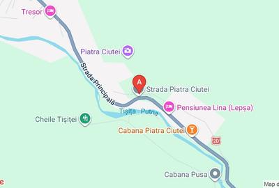 Teren intravilan de 3290 mp, în Lepșa - 9