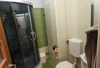 Apartament 3 camere-Parcul Teiul Doamnei  -Strada Brebu -67MP - 23