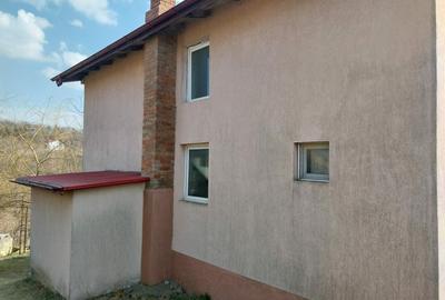Casă individuală cu 4 camere cu Teren 2500 Mp în Copou - 7