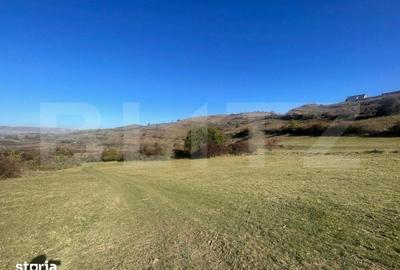 Teren de 1540 mp, în Florești - 4