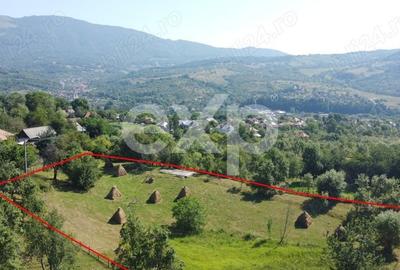 Teren Construcții intravilan de 6348 mp, în Corbeni - 4