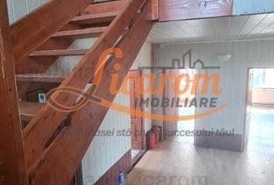 Casă individuală cu 8 camere decomandat cu Canalizare în Cristian - 37