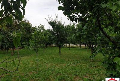 Casă cu 4 camere cu Teren 2363 Mp în Căuaș - 2