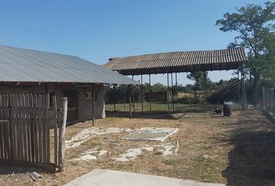 Casă cu 8 camere în Parepa-Rușani - 1