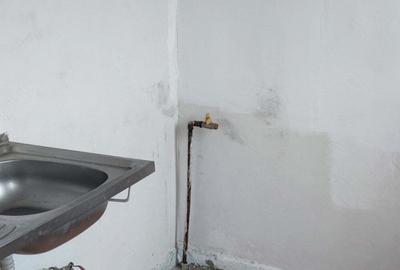 Apartament cu 2 camere nedecomandat în Central - 3