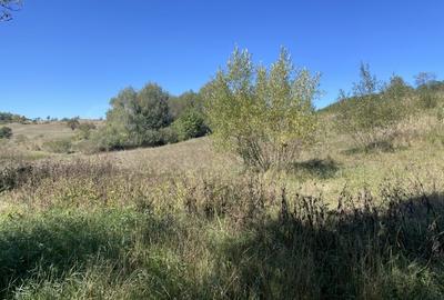 Teren Construcții intravilan de 1300 mp, în Cornățel - 2