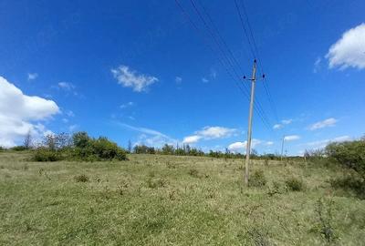 Teren de 10000 mp, în Valea Iașului