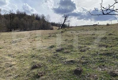 Teren extravilan in suprafata de 7500 mp la poalele Mesesului - 6