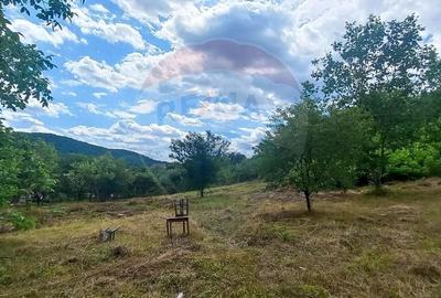 Teren Intravilan de vanzare 3551mp Poiana Copaceni Com Gura Vitioarei - 22