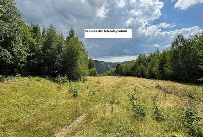 Teren de 35000 mp, în Parva - 4