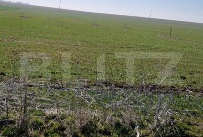 Teren Construcții intravilan de 1500 mp, în Exterior Est - 3