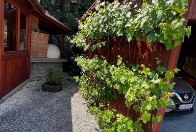 Ocazie unică! Casă de vânzare în stațiunea Covasna! - 22