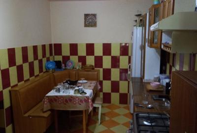 Casă cu 4 camere cu Teren 5400 Mp în Luduș - 7