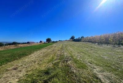 Teren intravilan - 1500 mp, Luizi-Calugara - 2