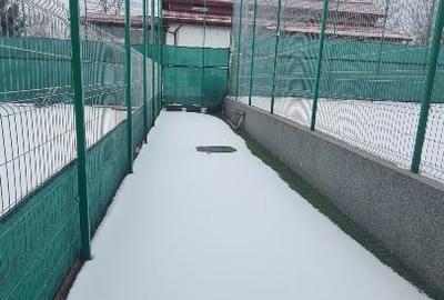 Teren de vânzare – 1322 mp în Mogoșoaia, investiție excelenta - 5