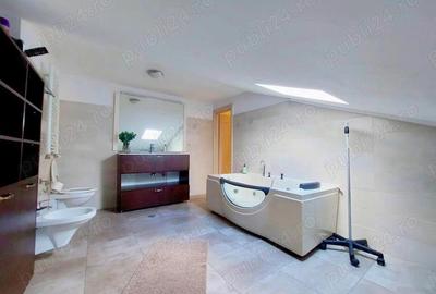 Apartament 4 Camere tip Duplex - Strada Cire?ului, Dobroe?ti Fundeni - 19