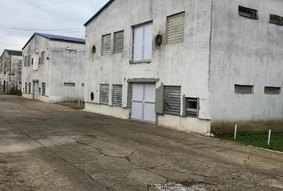 Hala | Spatiu depozitare, productie de inchiriat | Les, Bihor - 9
