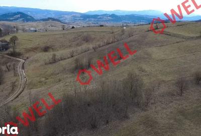 Teren de 4200 mp, în Barcani - 4