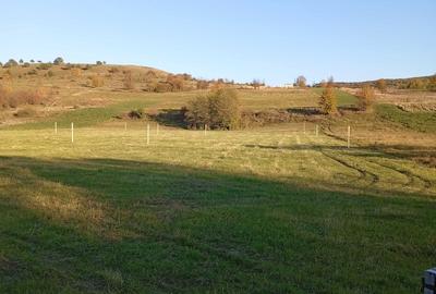 Teren de 1786 mp, în Mărtiniș - 5