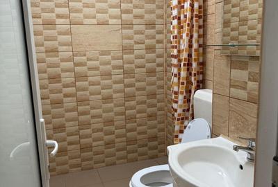 Berceni-Turnu Magurele-Garsoniera de inchiriat - 4