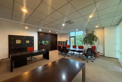 SPATIU DE BIROURI | SPLAIUL UNIRII | 7 locuri de parcare - 11