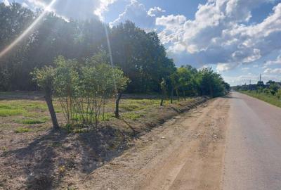 Teren intravilan 1843 mp - Cerbu/Albota/Arges - cu proiect d - 6