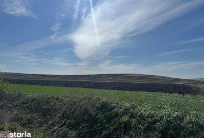 Teren de 3600 mp, în Corni - 3