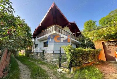 Vila ideal #259; pentru relaxare sau afacere, Valea Budului