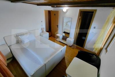 Hotel/Pensiune, în Brazda lui Novac - 11