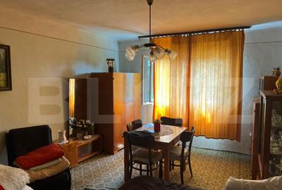 Casa Str. Negoiului, 2.249 mp teren, zona lini?tita, ved - 3