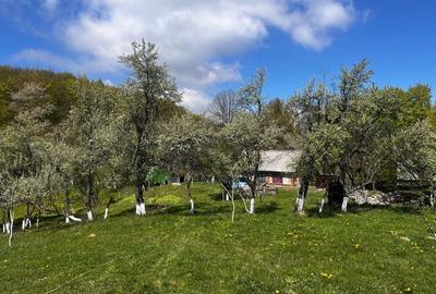 Casă cu 3 camere în Stăncilova - 8