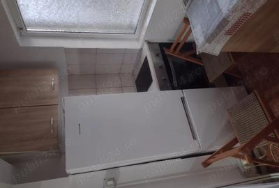 Ion Ionescu de la Brad - 2