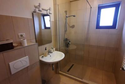 Apartament cu 2 camere semidecomandat, mobilat în Dumbrăvița - 8