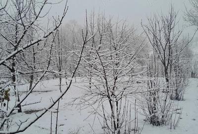 Casă cu 3 camere în Amnaș - 3